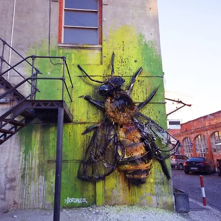 Tp Factory 15, *